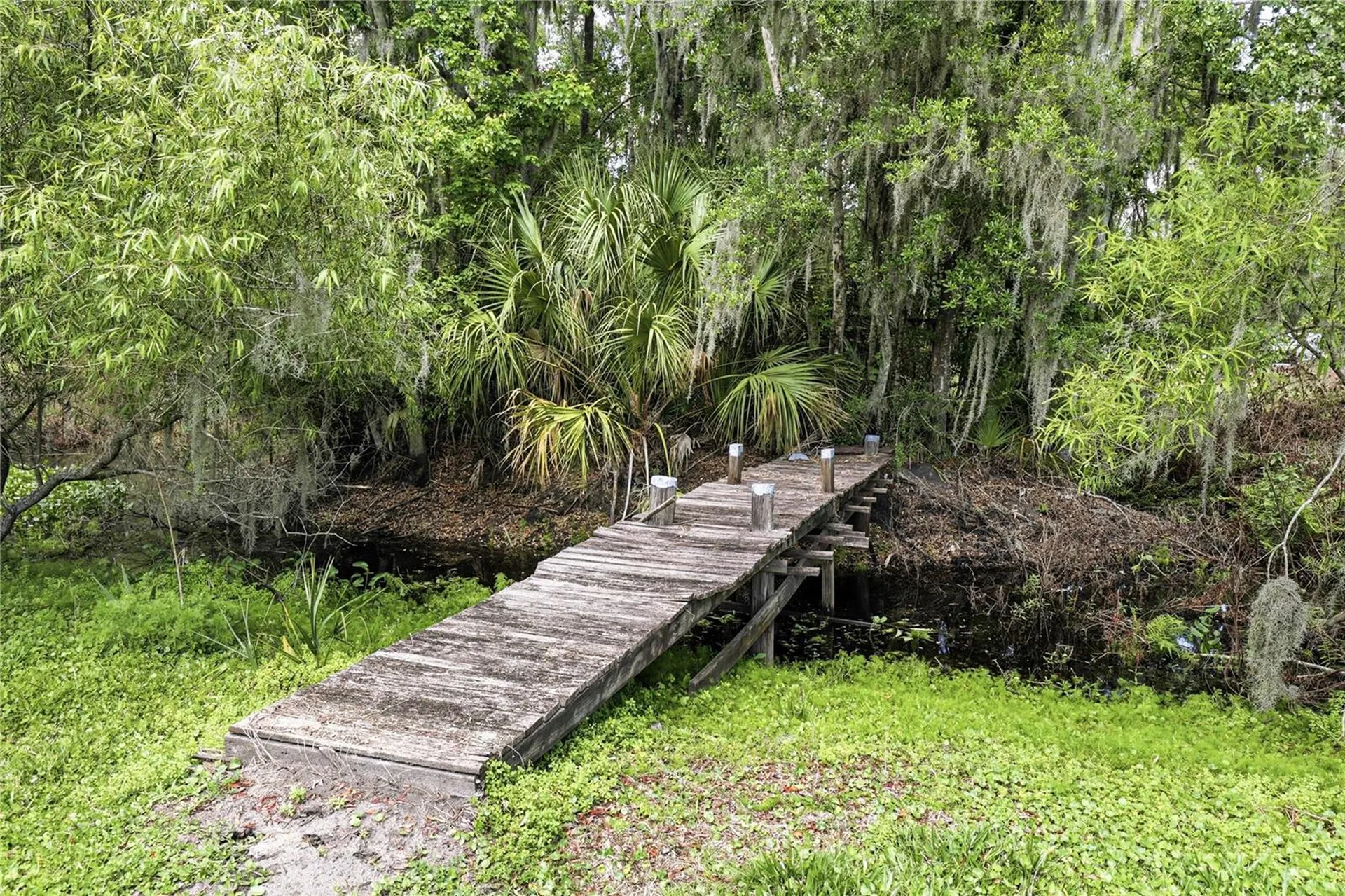 403 Wendel Avenue Lithia FL 33547