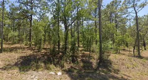 0000 NW Geranium Avenue Dunnellon FL 34431
