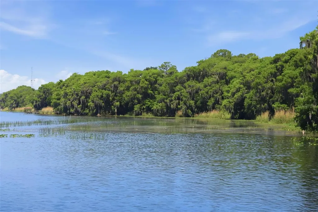 120 Hibiscus Woods Court Deltona FL 32725