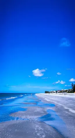 19701 Gulf Boulevard Indian Shores FL 33785