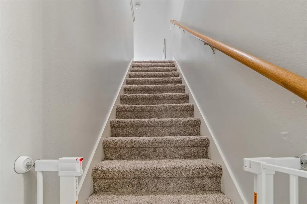 2336 Nesslewood Drive Wesley Chapel FL 33543