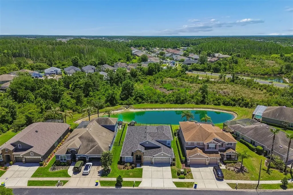 2336 Nesslewood Drive Wesley Chapel FL 33543