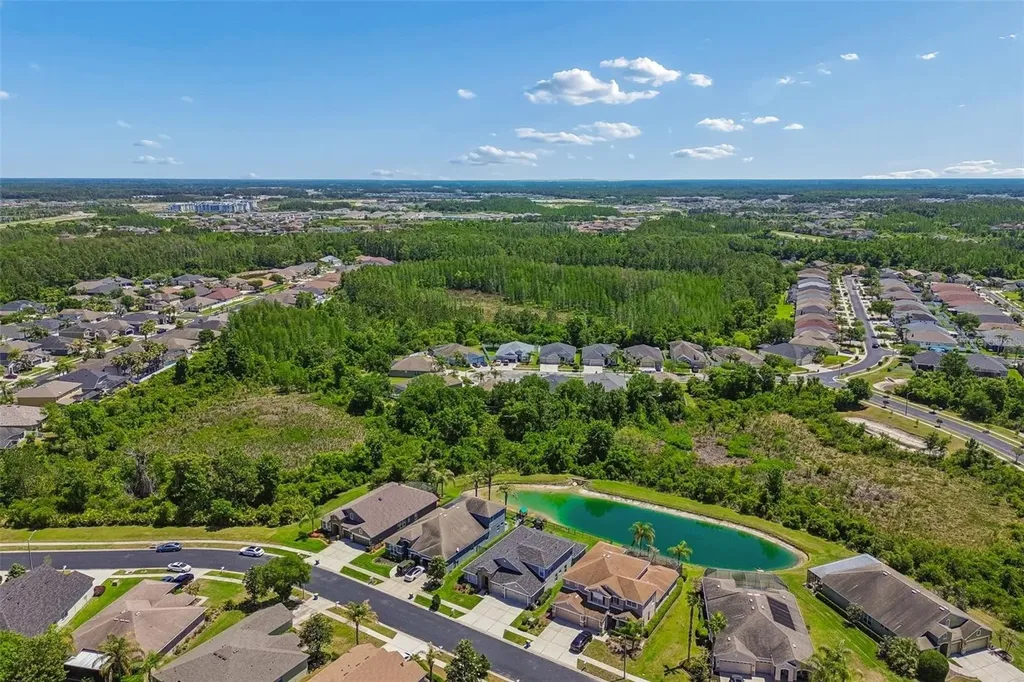 2336 Nesslewood Drive Wesley Chapel FL 33543