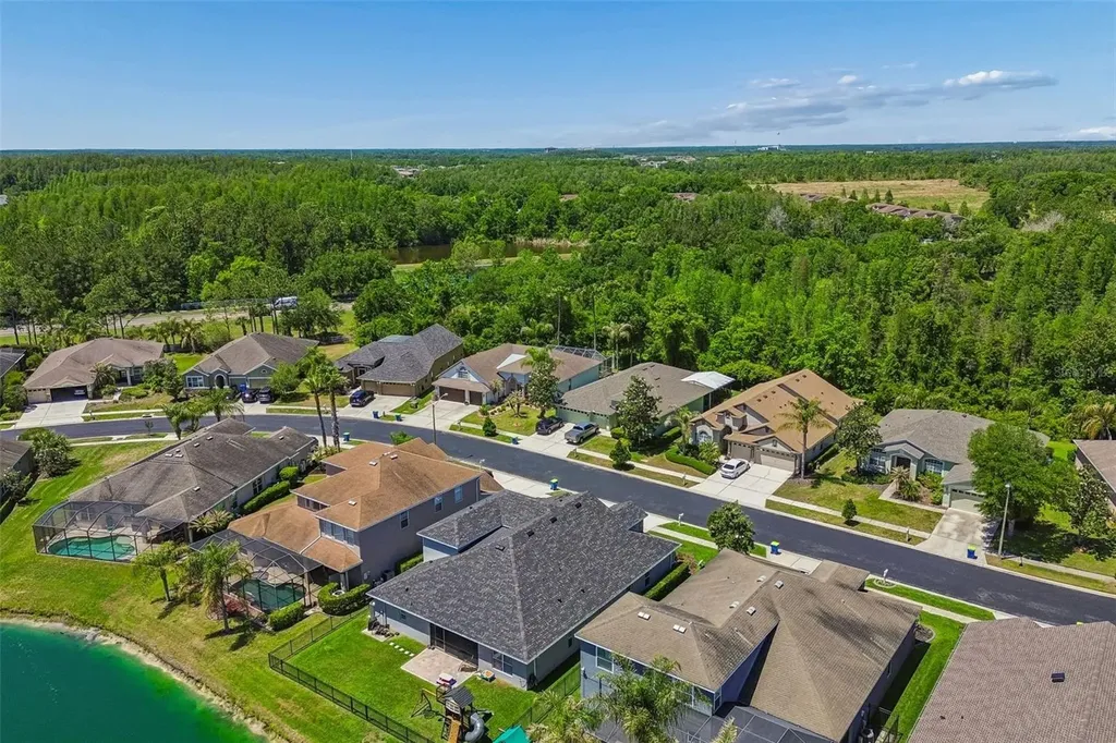 2336 Nesslewood Drive Wesley Chapel FL 33543