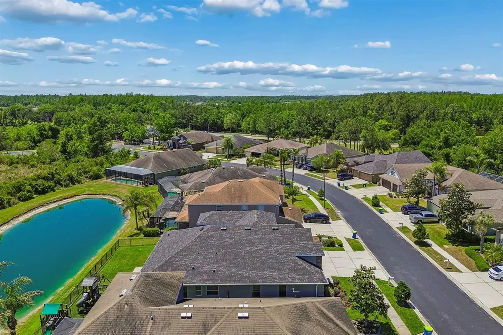 2336 Nesslewood Drive Wesley Chapel FL 33543