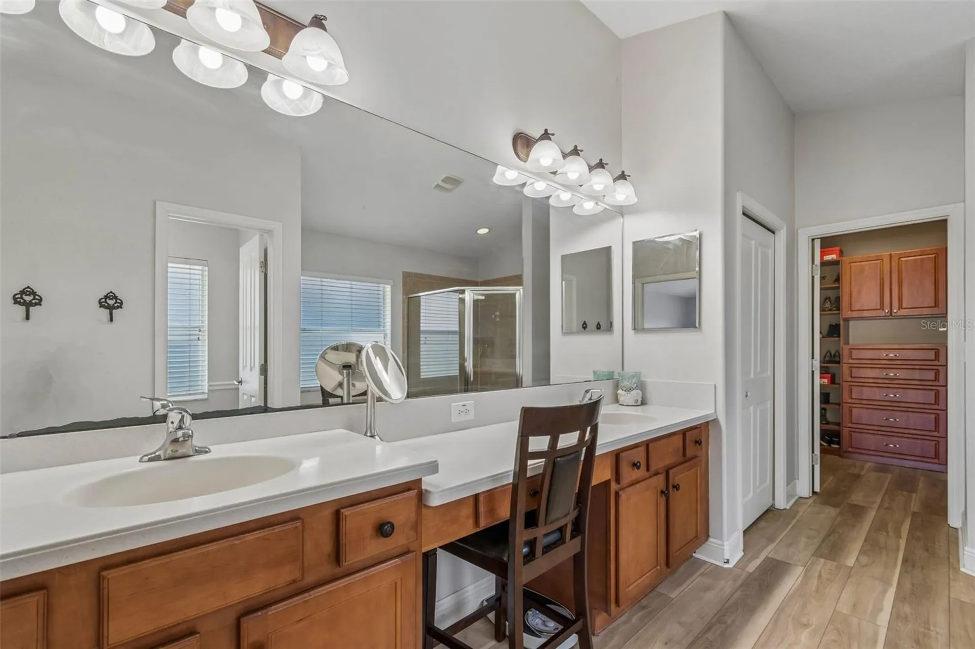 2336 Nesslewood Drive Wesley Chapel FL 33543
