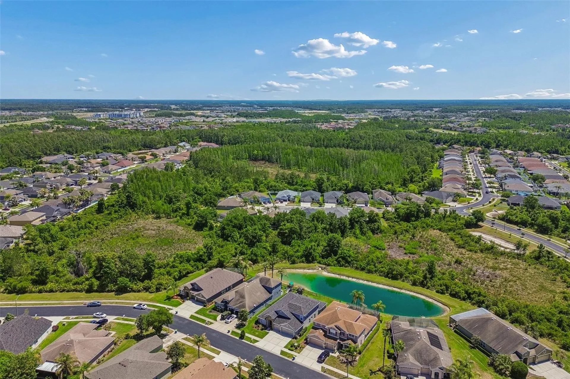 2336 Nesslewood Drive Wesley Chapel FL 33543