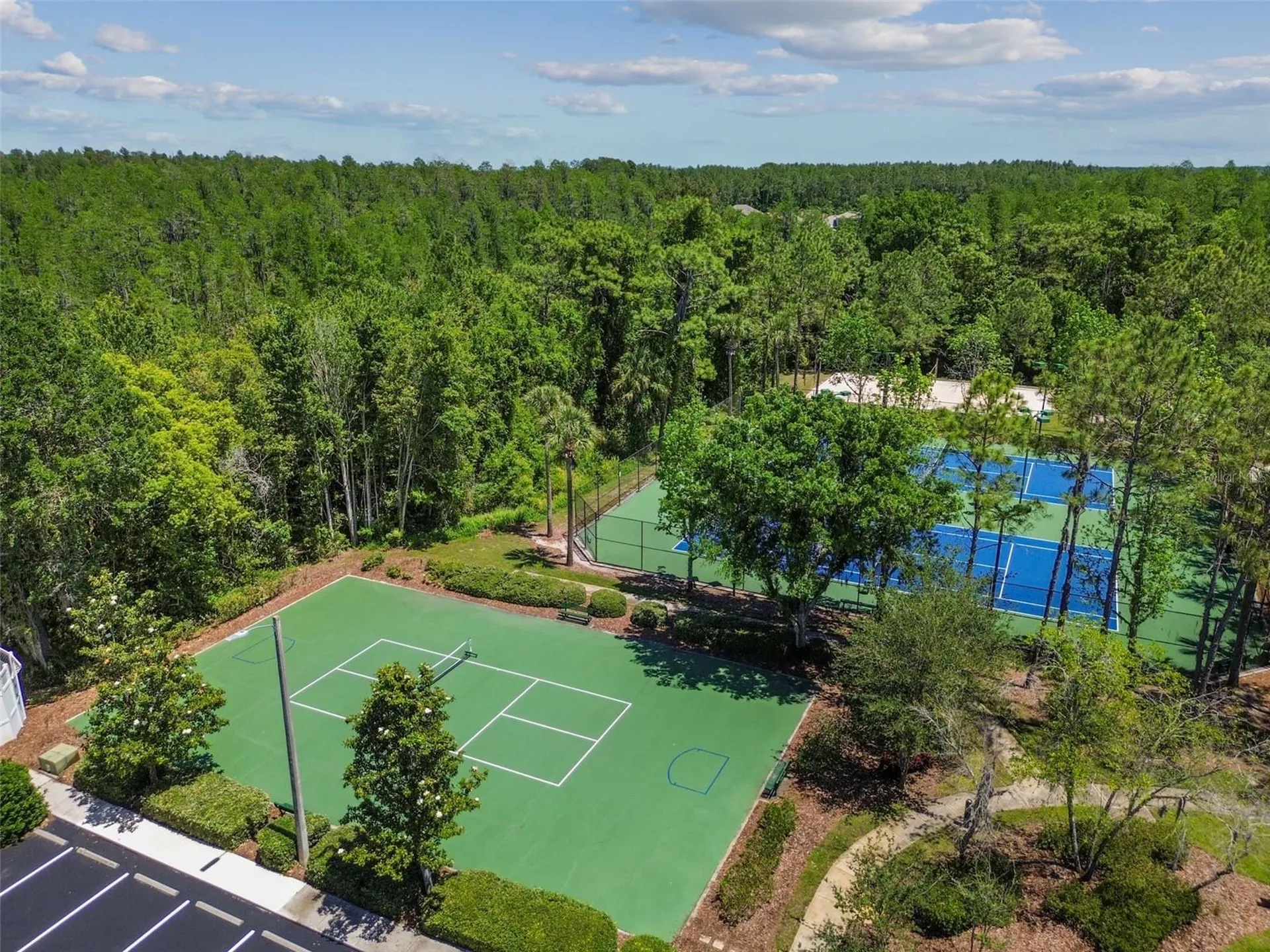 2336 Nesslewood Drive Wesley Chapel FL 33543