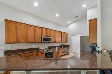 2336 Nesslewood Drive Wesley Chapel FL 33543