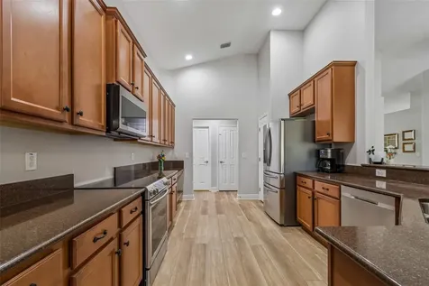 2336 Nesslewood Drive Wesley Chapel FL 33543