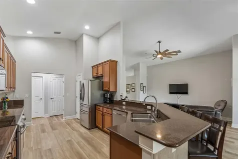 2336 Nesslewood Drive Wesley Chapel FL 33543