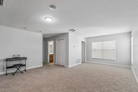 2336 Nesslewood Drive Wesley Chapel FL 33543