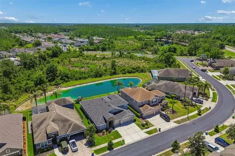 2336 Nesslewood Drive Wesley Chapel FL 33543