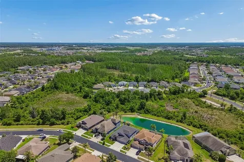 2336 Nesslewood Drive Wesley Chapel FL 33543