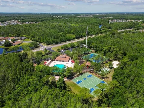 2336 Nesslewood Drive Wesley Chapel FL 33543