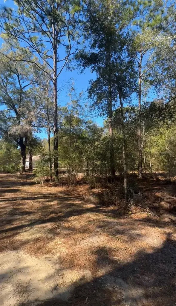 Tbd SW 22nd Place Ocala FL 34474