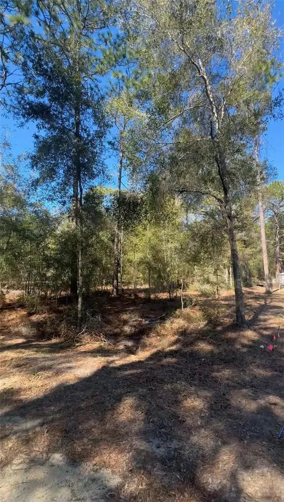 Tbd SW 22nd Place Ocala FL 34474