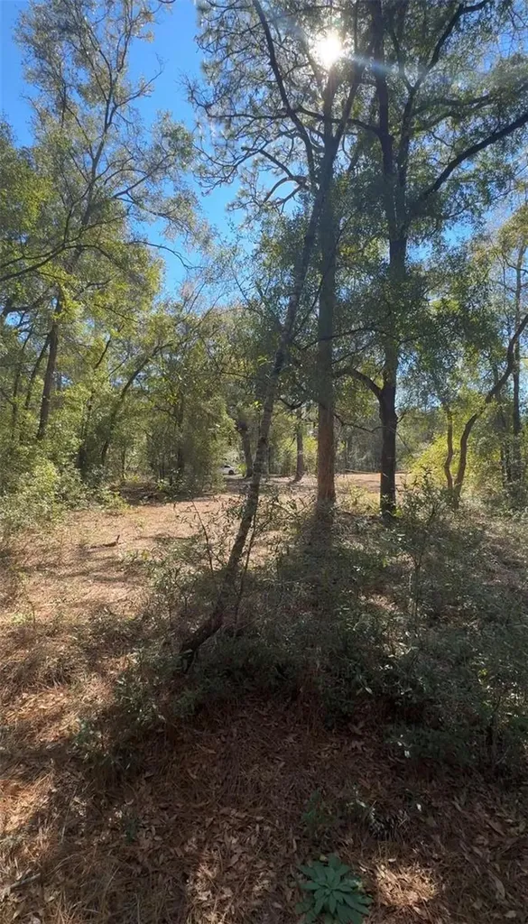 Tbd SW 22nd Place Ocala FL 34474