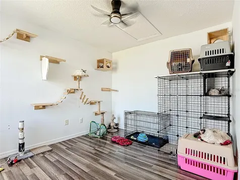 236 Orchid Drive Davenport FL 33897