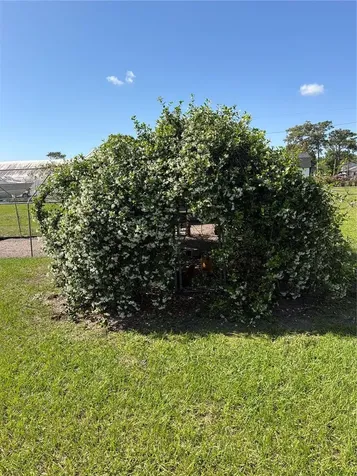 4245 Henry J Avenue St Cloud FL 34769
