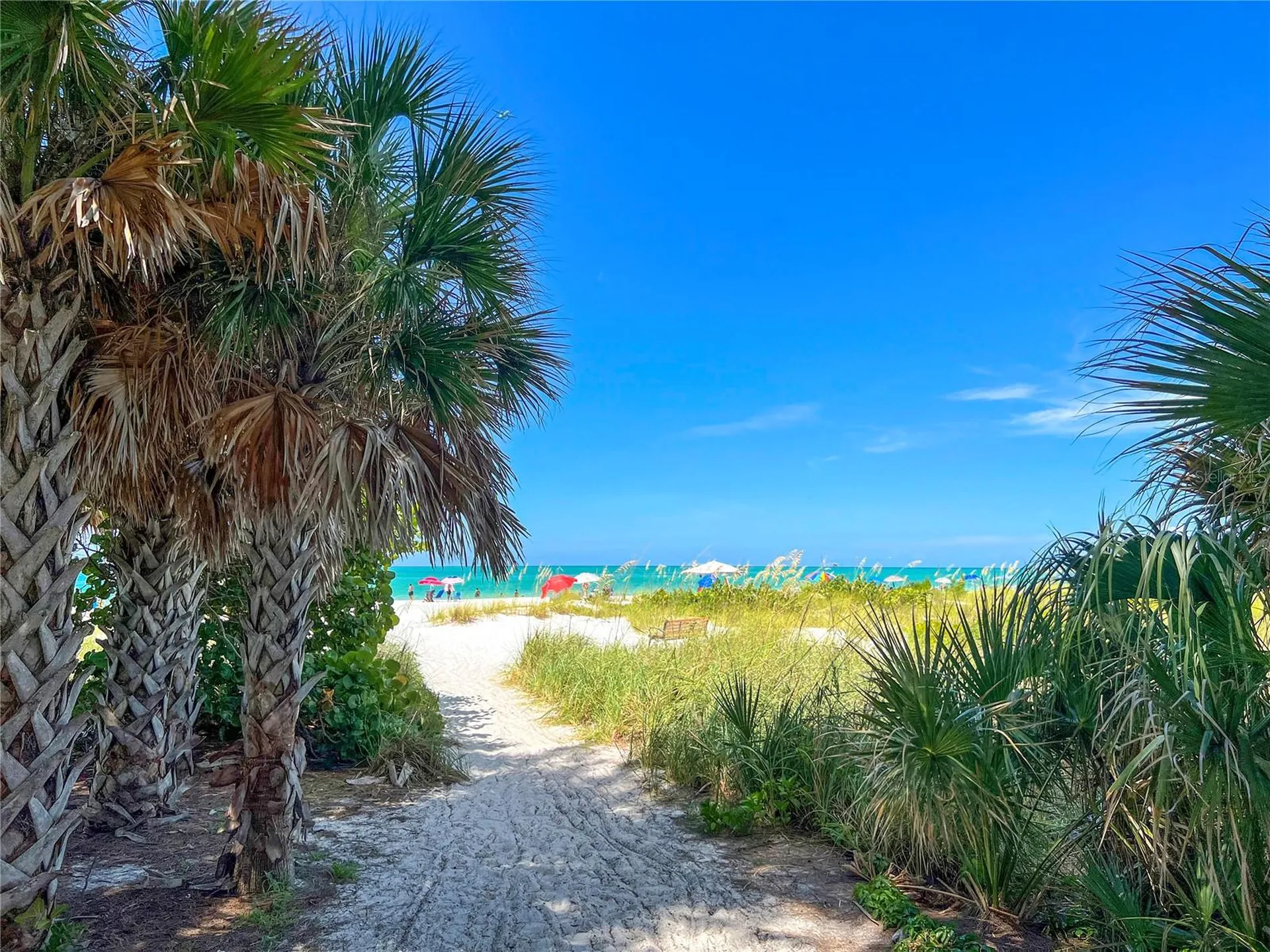 416 Alamanda Road Anna Maria FL 34216