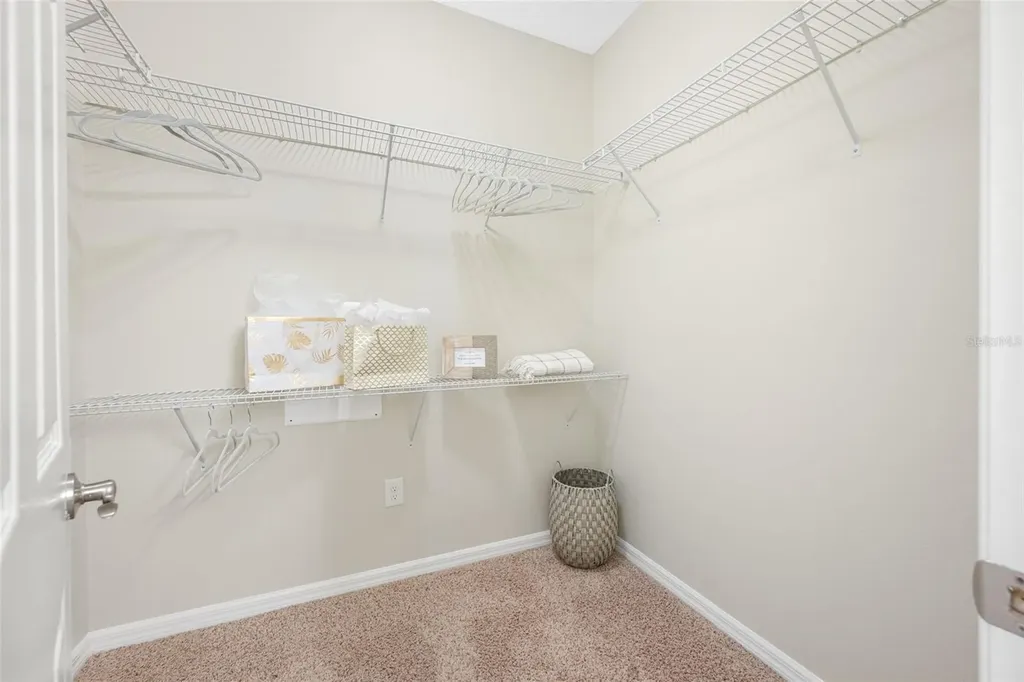 2527 Silverback Court Palm Harbor FL 34684