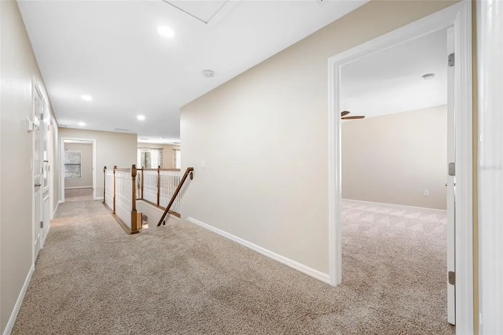 2527 Silverback Court Palm Harbor FL 34684