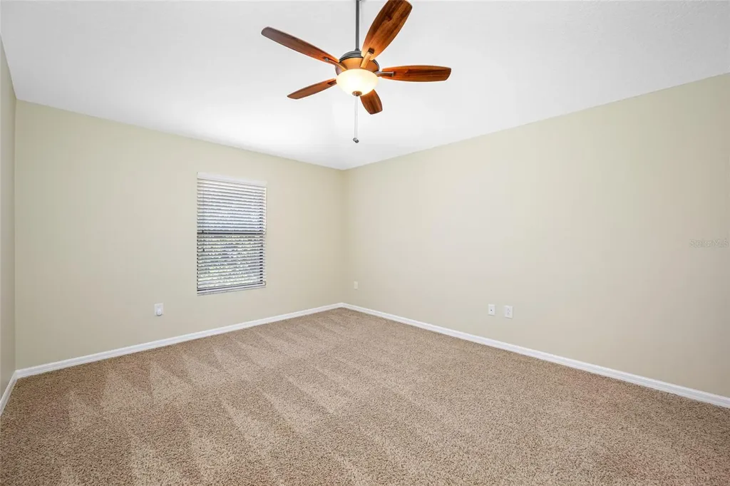 2527 Silverback Court Palm Harbor FL 34684