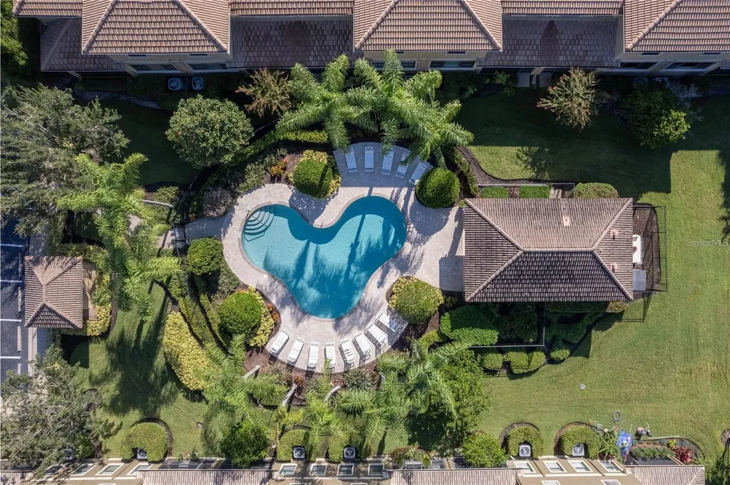 2527 Silverback Court Palm Harbor FL 34684