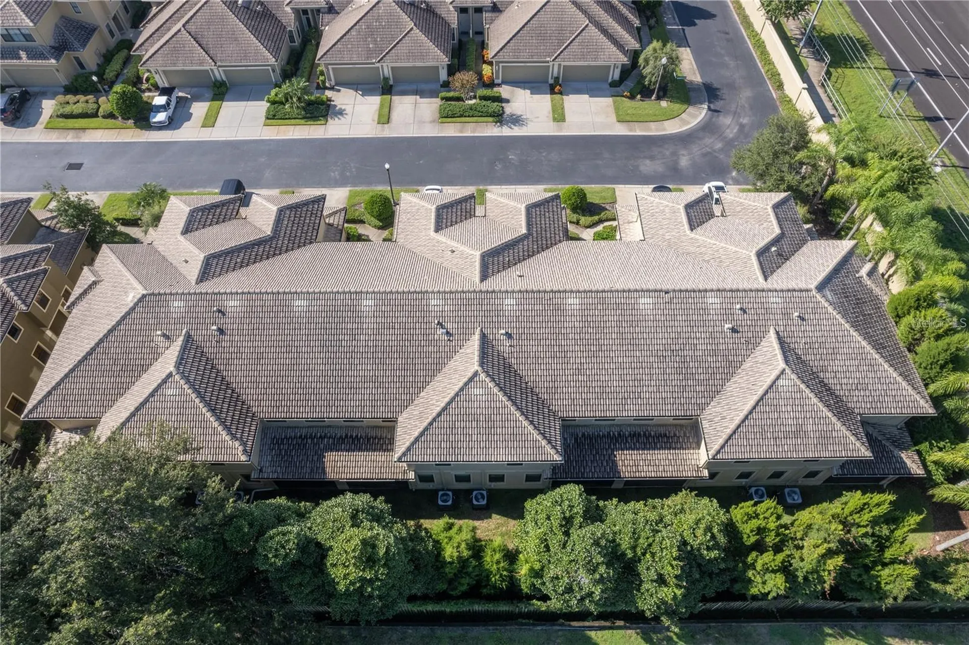 2527 Silverback Court Palm Harbor FL 34684