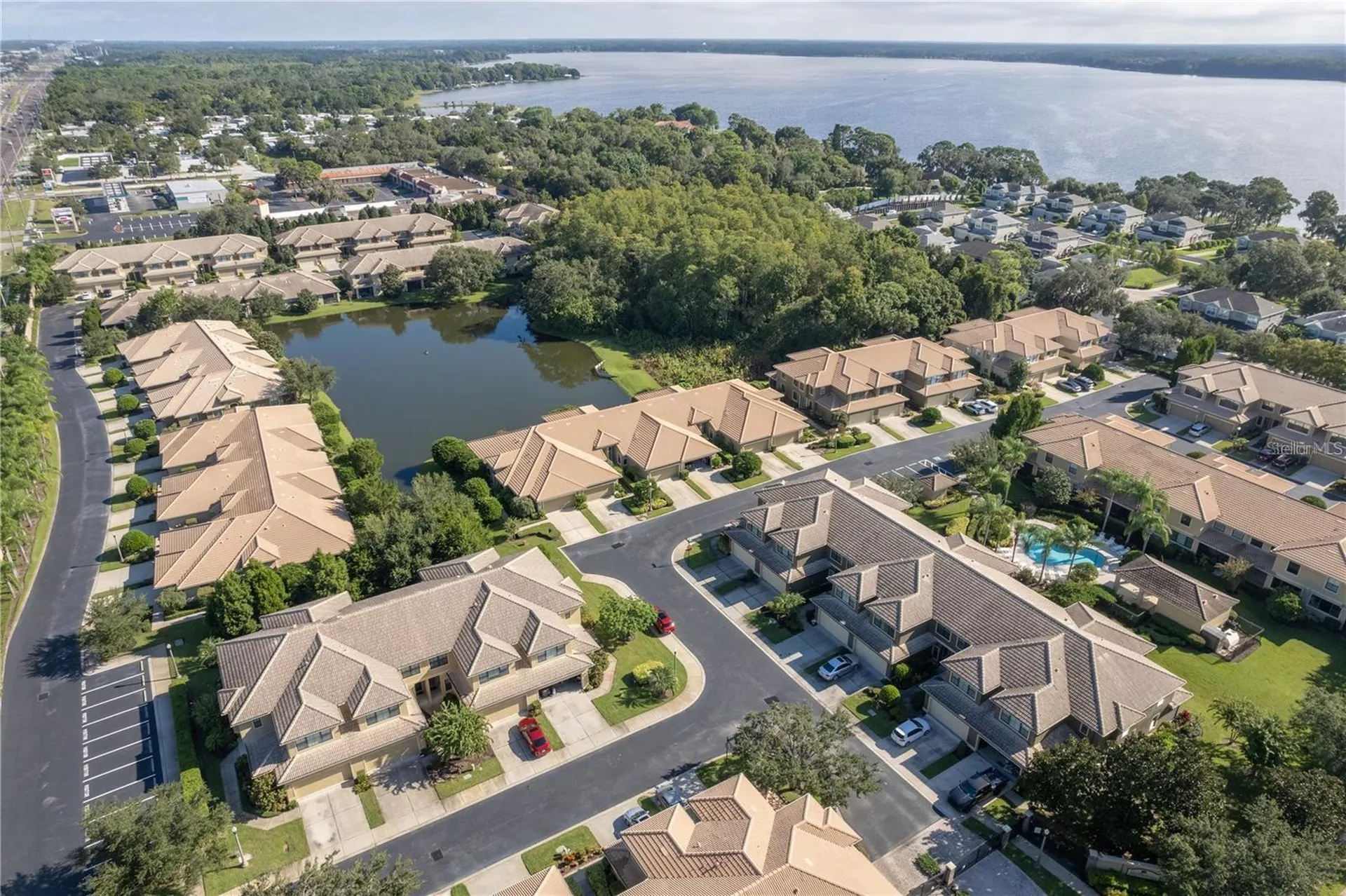 2527 Silverback Court Palm Harbor FL 34684