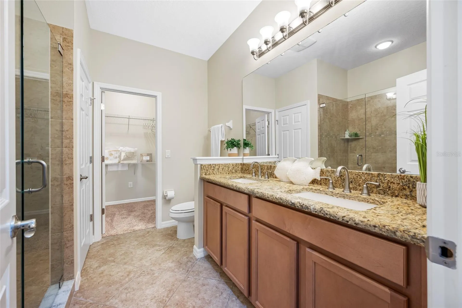 2527 Silverback Court Palm Harbor FL 34684