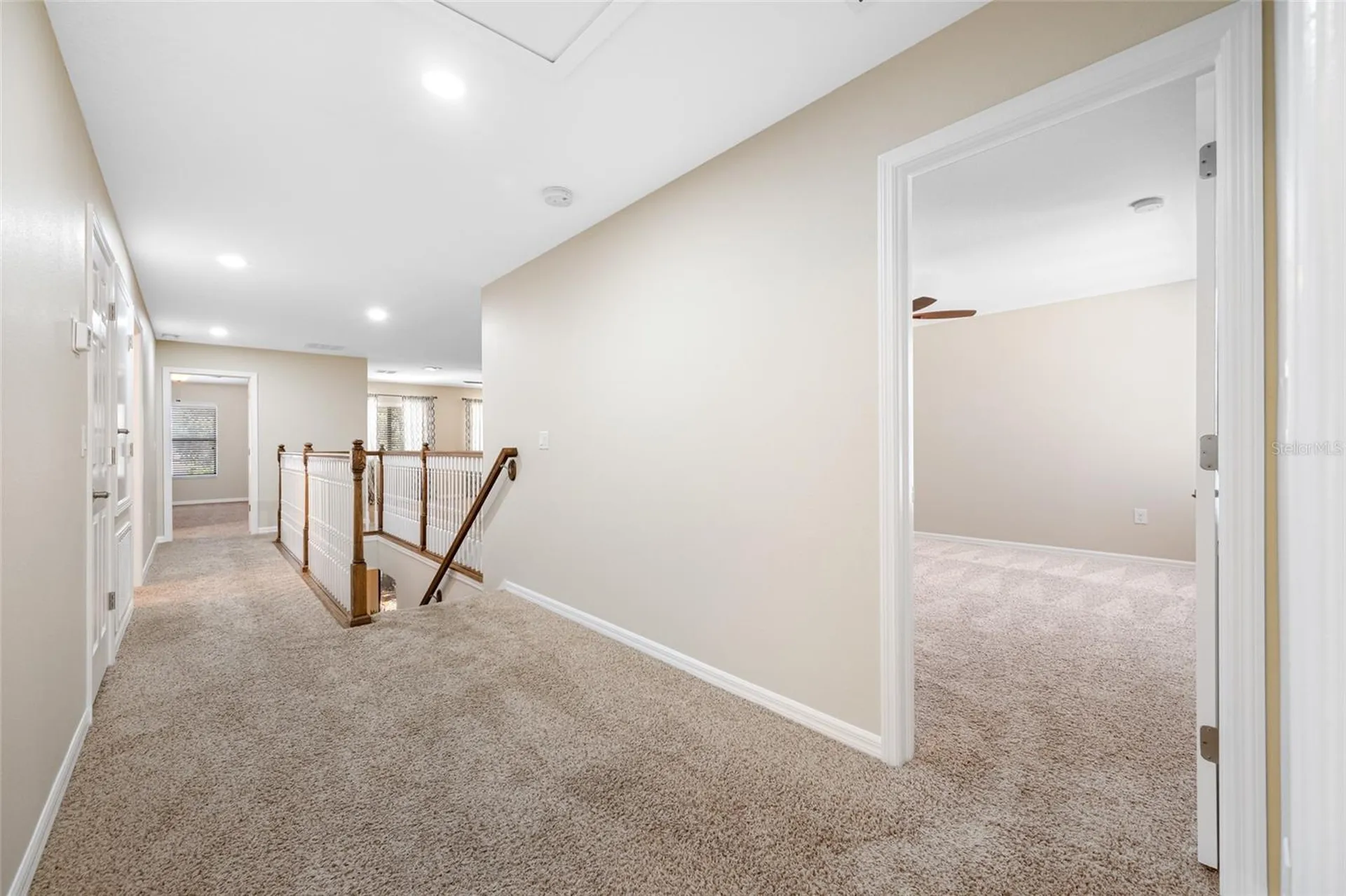 2527 Silverback Court Palm Harbor FL 34684