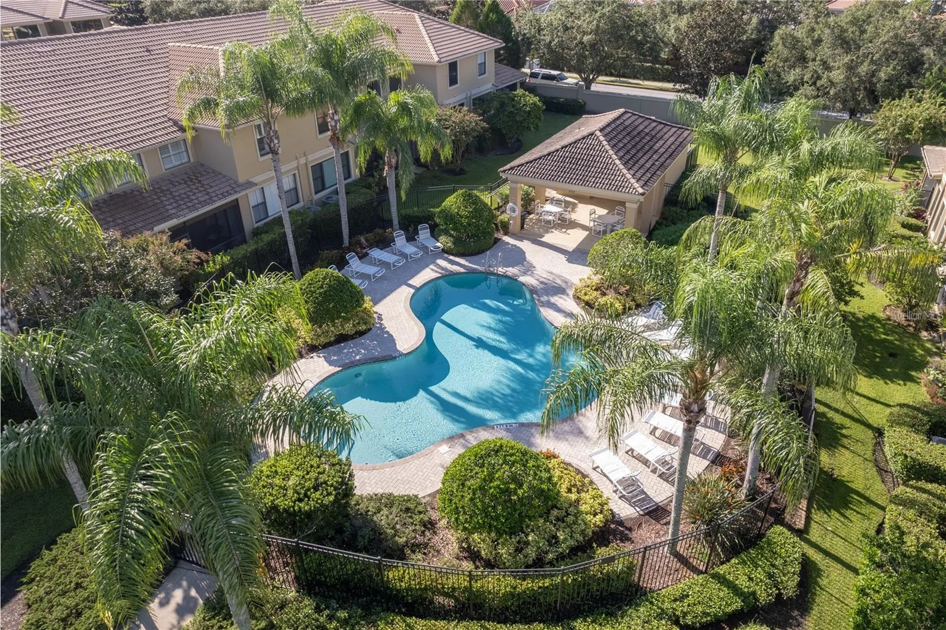 2527 Silverback Court Palm Harbor FL 34684
