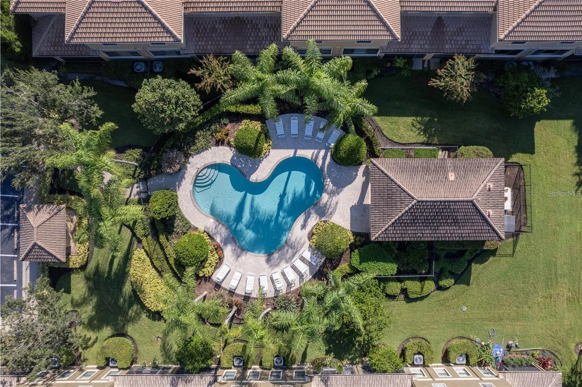 2527 Silverback Court Palm Harbor FL 34684