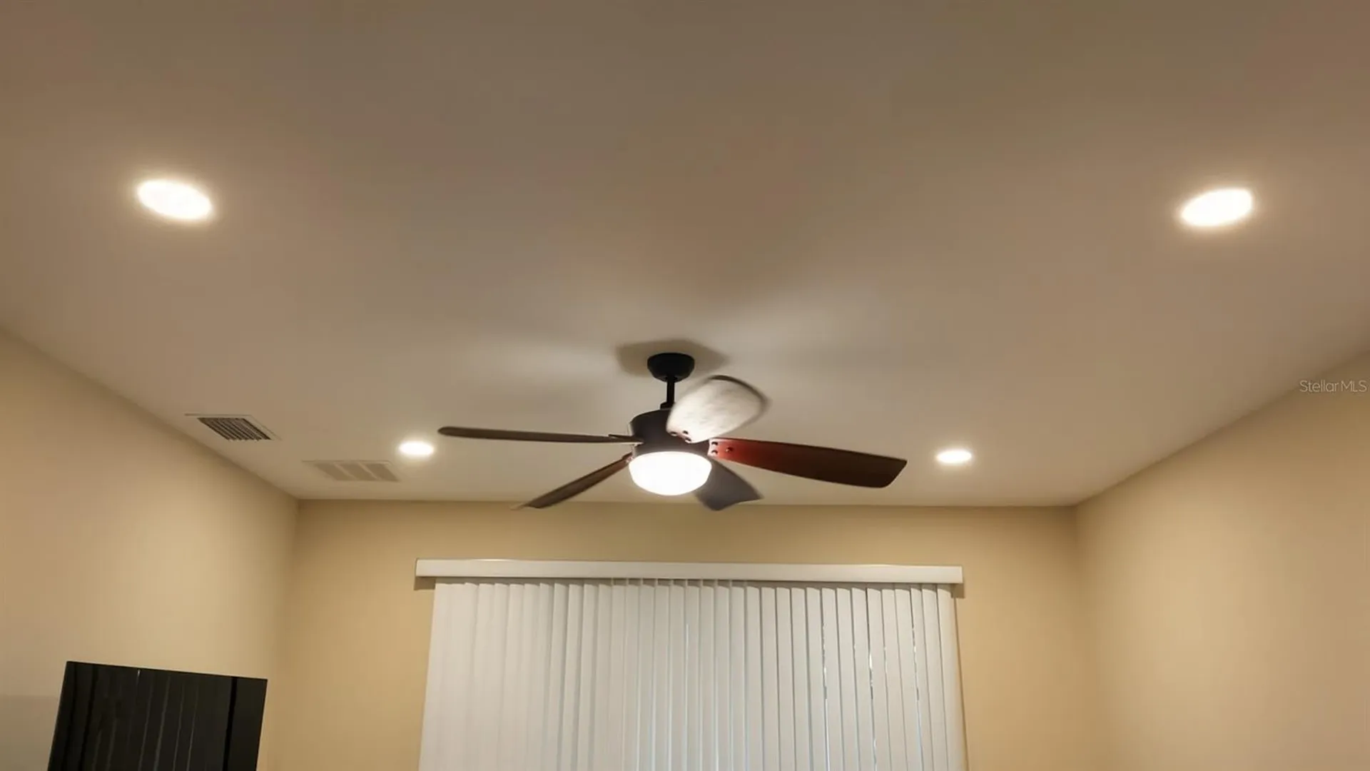 2527 Silverback Court Palm Harbor FL 34684