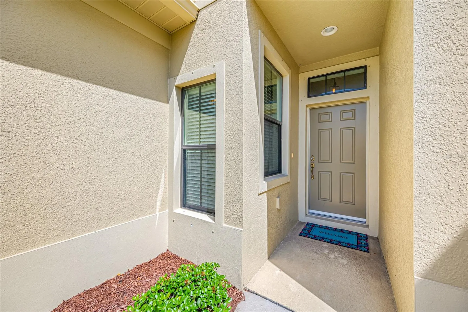 2527 Silverback Court Palm Harbor FL 34684