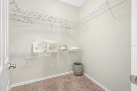 2527 Silverback Court Palm Harbor FL 34684