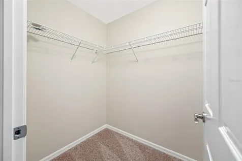 2527 Silverback Court Palm Harbor FL 34684