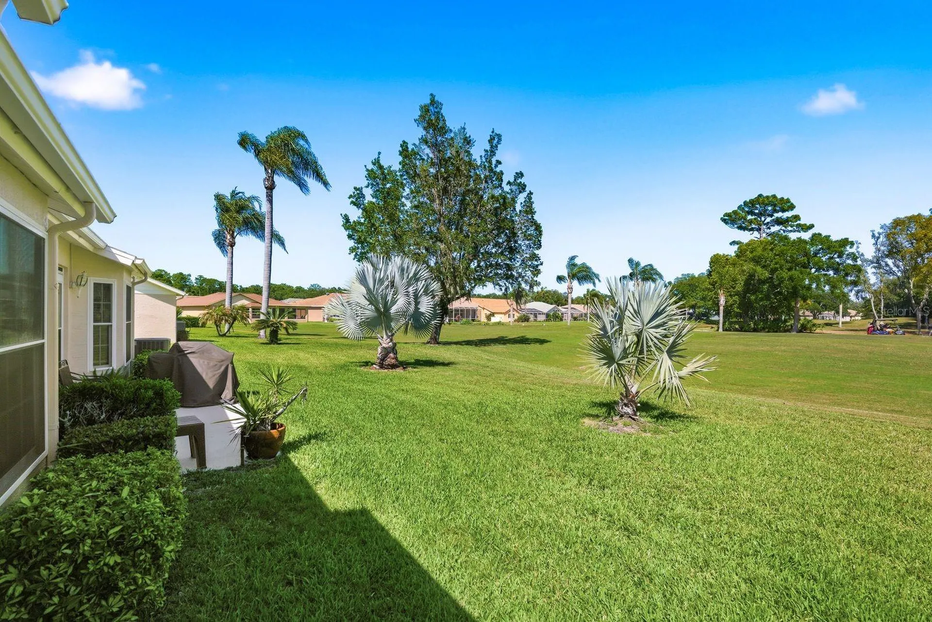6542 Pine Walk Drive New Port Richey FL 34655