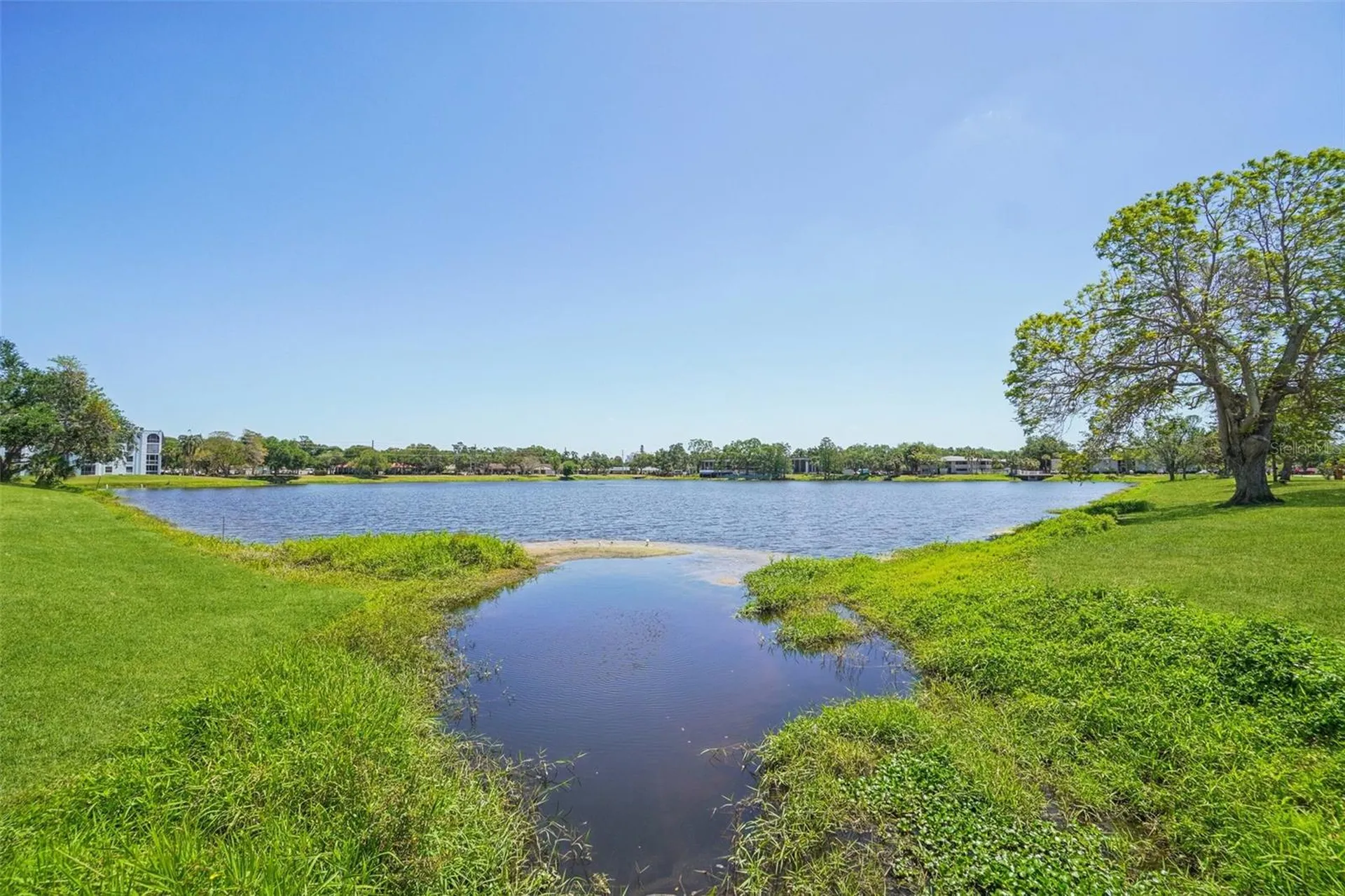 3850 13th Avenue N St Petersburg FL 33713