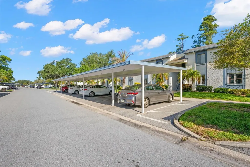 125 Cypress Lane Oldsmar FL 34677