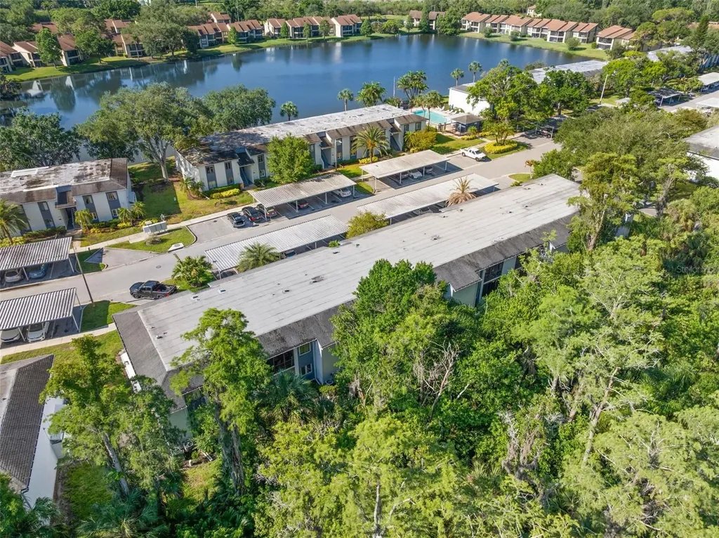 125 Cypress Lane Oldsmar FL 34677