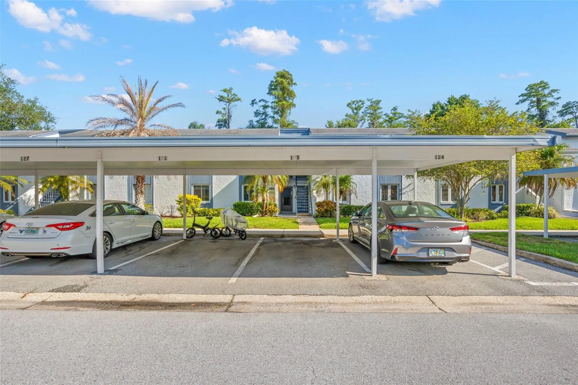125 Cypress Lane Oldsmar FL 34677