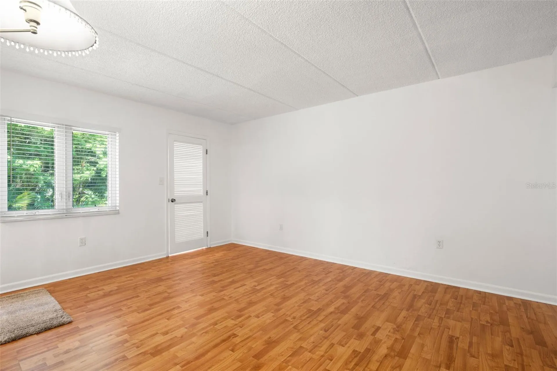125 Cypress Lane Oldsmar FL 34677