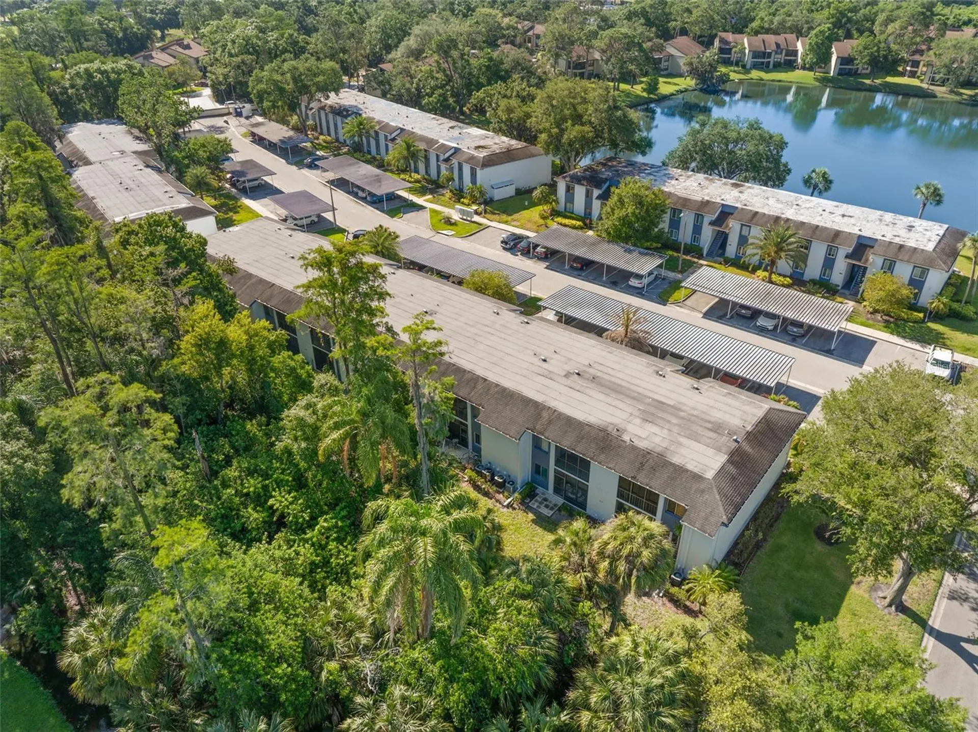 125 Cypress Lane Oldsmar FL 34677