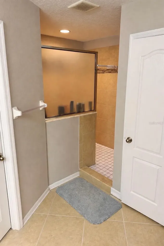 2514 Cross More Street Valrico FL 33594
