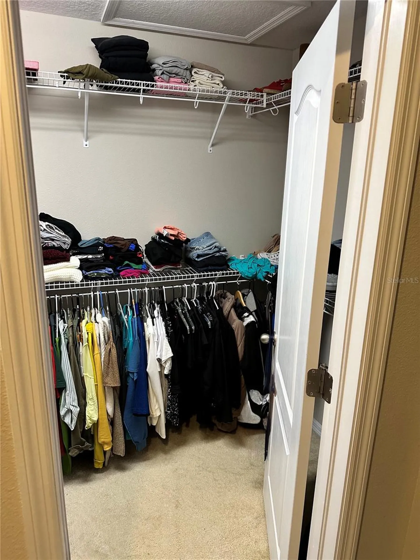 2514 Cross More Street Valrico FL 33594