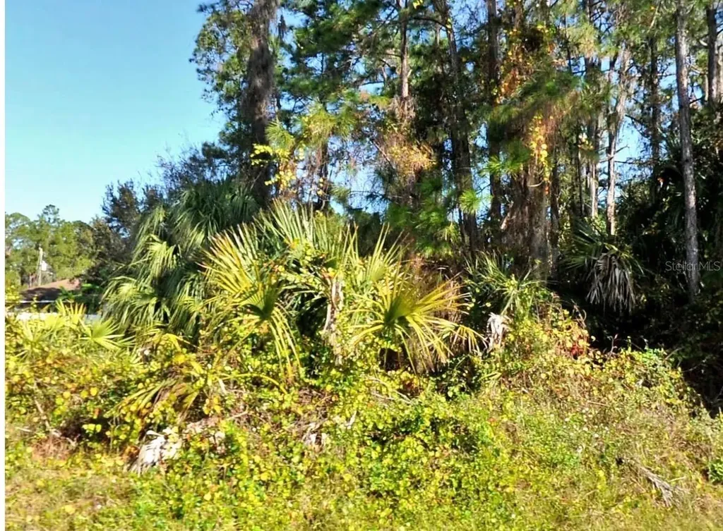 Zambrana Avenue North Port FL 34286