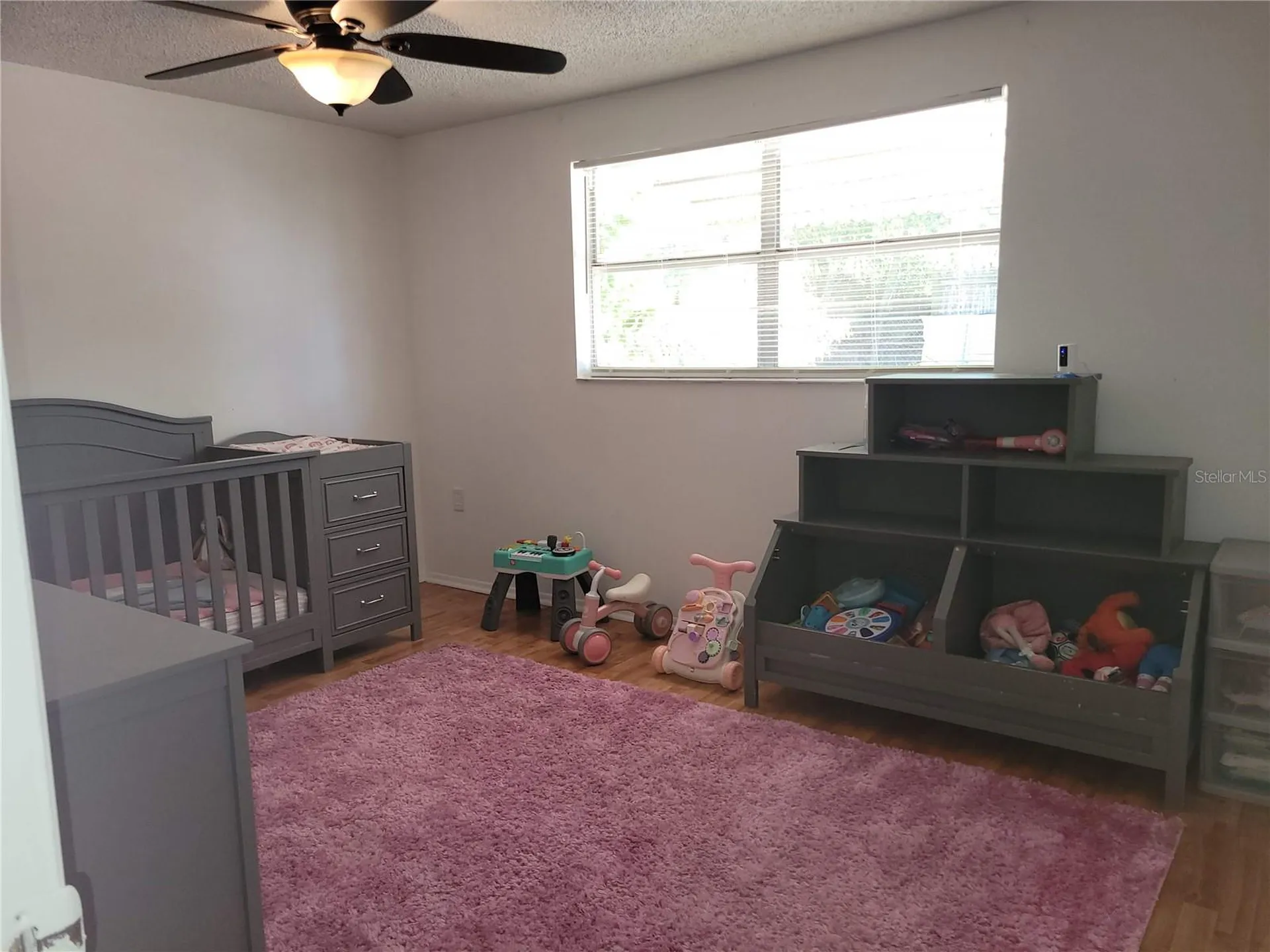 6430 Lomand Avenue New Port Richey FL 34653